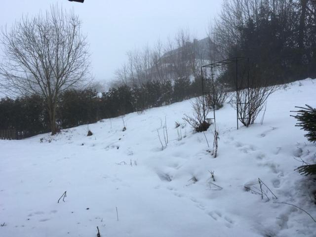 Haus Nova Am Bollerberg Bed & Breakfast ฮัลเลนแบร์ก ภายนอก รูปภาพ