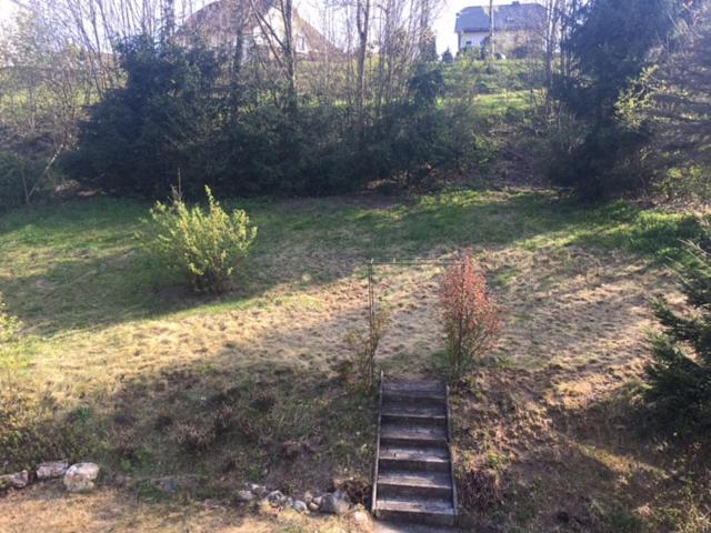 Haus Nova Am Bollerberg Bed & Breakfast ฮัลเลนแบร์ก ภายนอก รูปภาพ