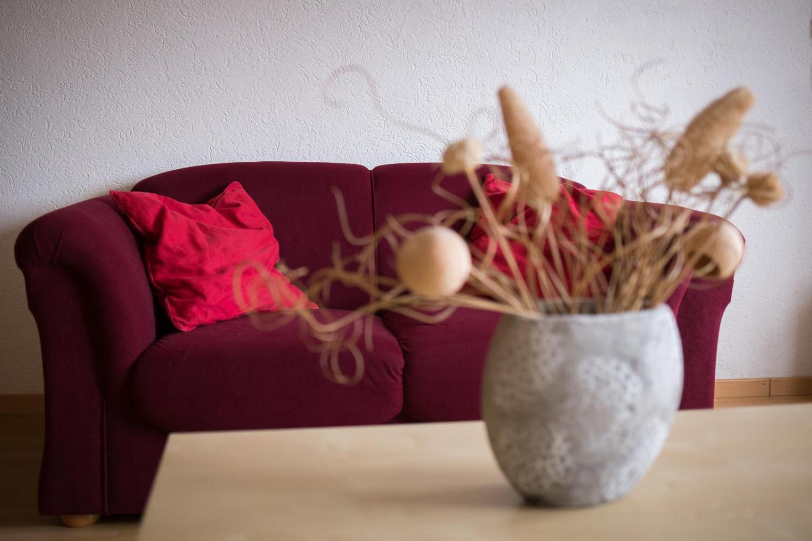 Haus Nova Am Bollerberg Bed & Breakfast ฮัลเลนแบร์ก ภายนอก รูปภาพ