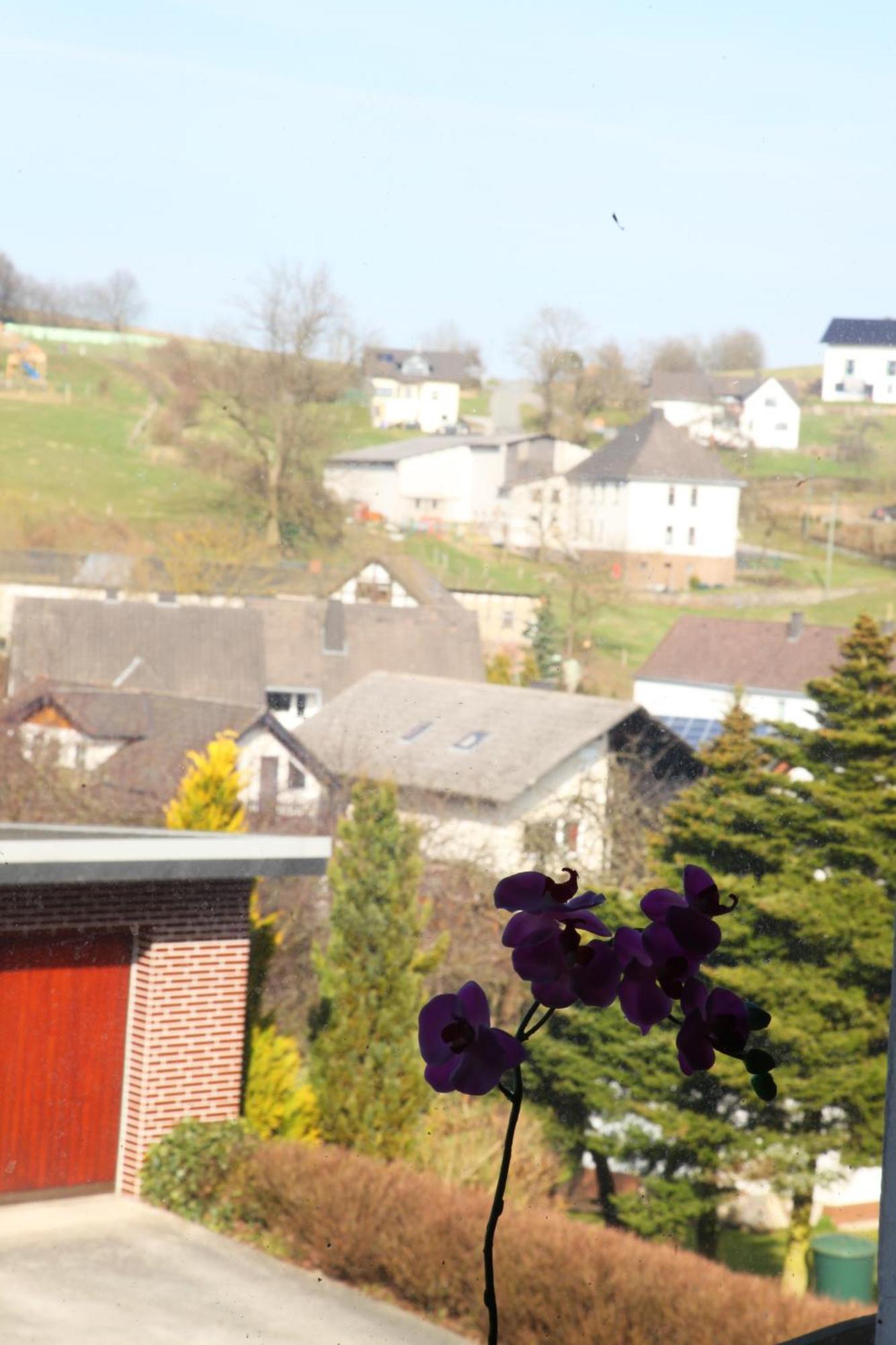 Haus Nova Am Bollerberg Bed & Breakfast ฮัลเลนแบร์ก ภายนอก รูปภาพ