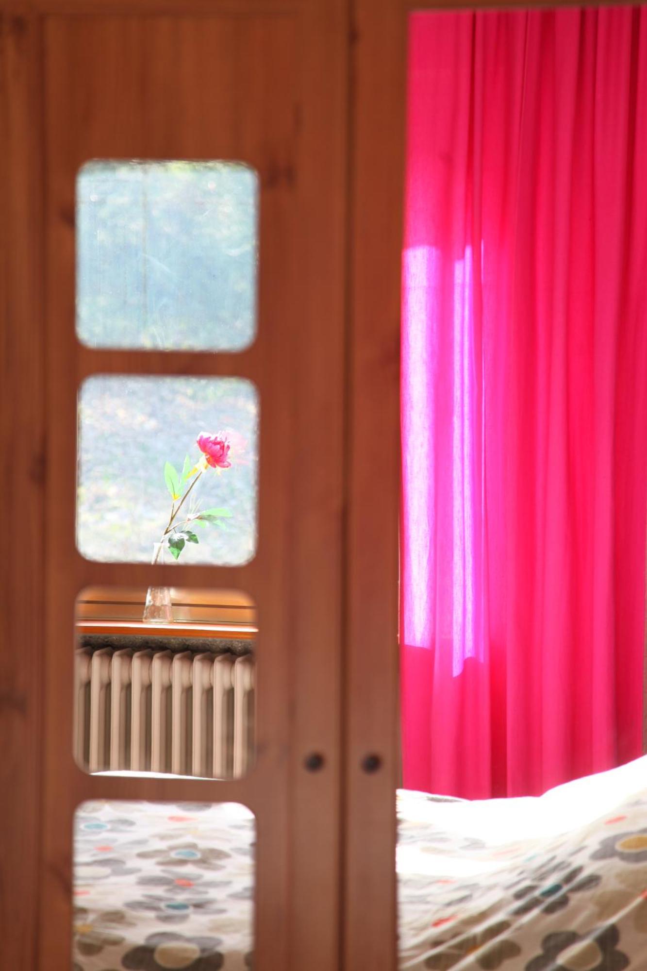 Haus Nova Am Bollerberg Bed & Breakfast ฮัลเลนแบร์ก ภายนอก รูปภาพ